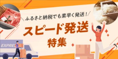 au-PAY-ふるさと納税-人気-おすすめ返礼品を掲載-08-29-2026_01_19_PM (1)