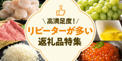 au-PAY-ふるさと納税-人気-おすすめ返礼品を掲載-08-29-2026_01_19_PM