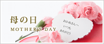 page_use_13