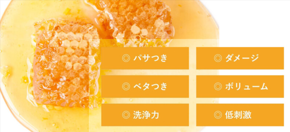 生はちみつの酵素で洗う新発想のヘアケア-REMEDY（レメディ）-08-23-2026_12_31_PM (1)